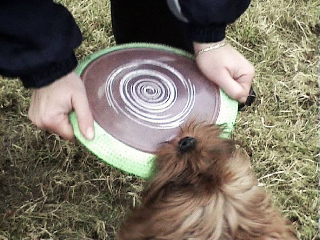 Video-Still aus: KREDIT #6 // Kettenfilm mit Halina Walcha // Bytom 2010